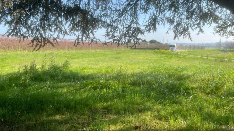 appartamento in vendita a Cesena in zona Ponte Pietra