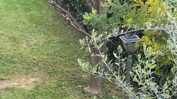 casa indipendente in vendita a Cesena in zona Centro Storico