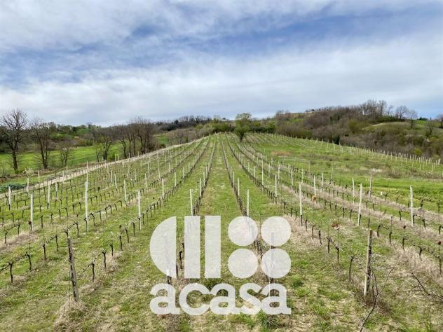 terreno agricolo in vendita a Cesena in zona Borello