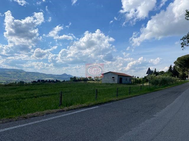 terreno agricolo in vendita a Cesena in zona Acquarola