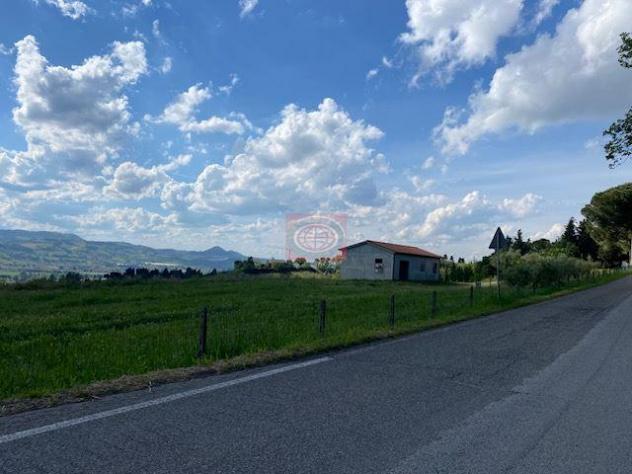 terreno agricolo in vendita a Cesena in zona Acquarola