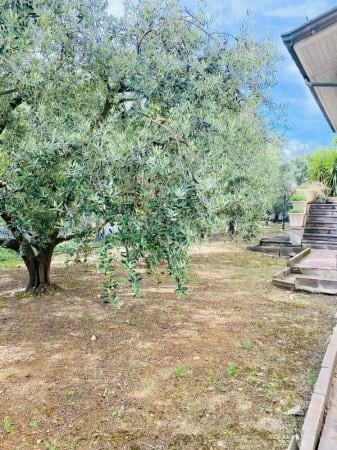 casa indipendente in vendita a Cesena in zona Borgo Paglia