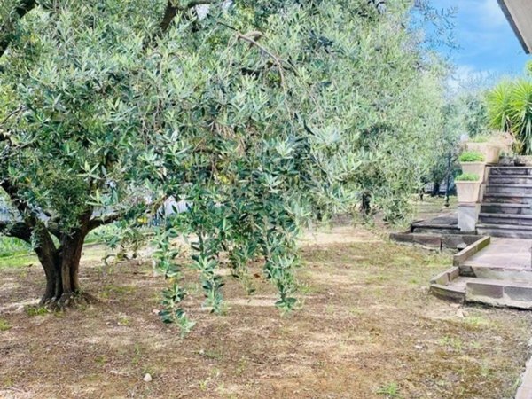 casa indipendente in vendita a Cesena