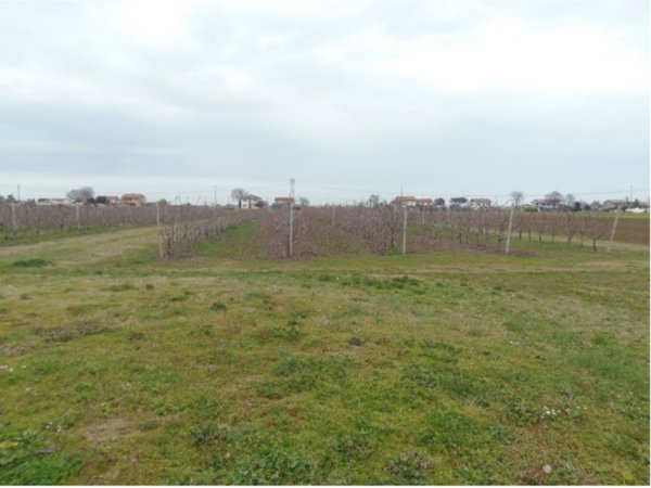 casa indipendente in vendita a Cesena in zona San Giorgio