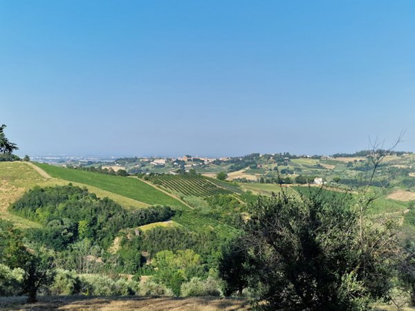 terreno edificabile in vendita a Cesena in zona Madonna dell'Ulivo