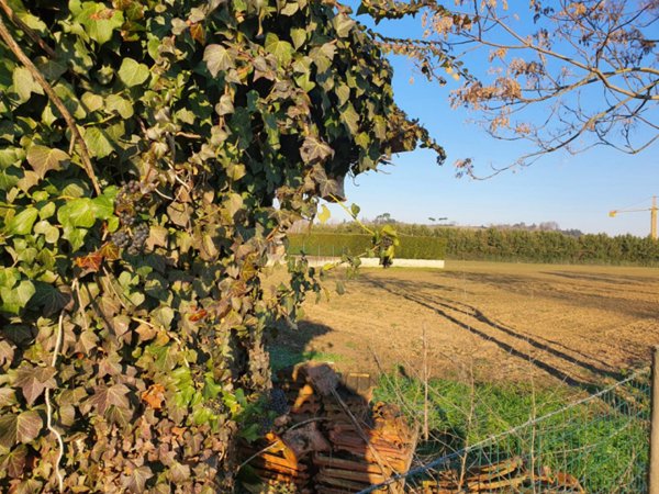 casa indipendente in vendita a Cesena in zona Settecrociari