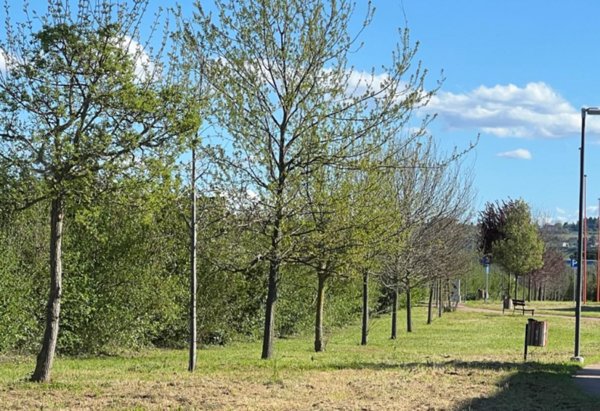 casa indipendente in vendita a Cesena in zona Fiorenzuola