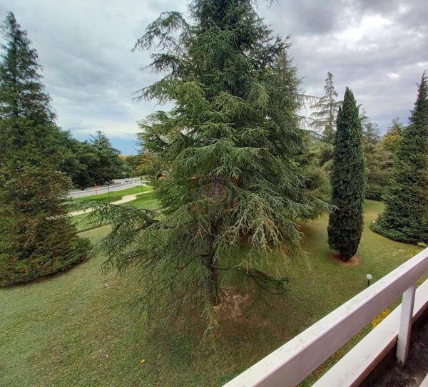 appartamento in vendita a Cesena