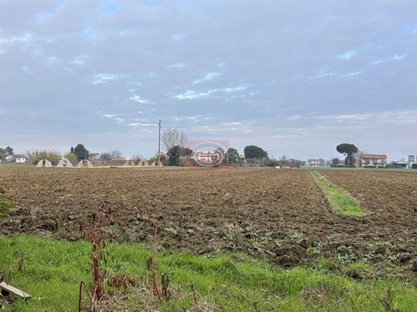 ufficio in vendita a Cesena in zona Calabrina