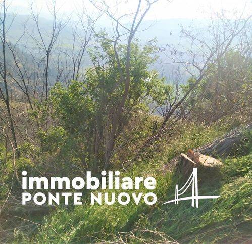 casa indipendente in vendita a Cesena in zona Montereale