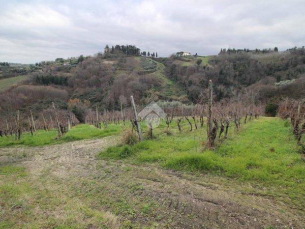 terreno agricolo in vendita a Cesena in zona Carpineta