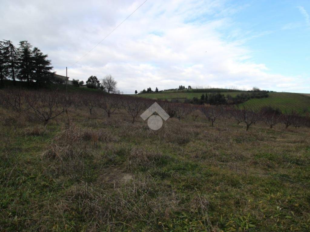 terreno agricolo in vendita a Cesena in zona Carpineta