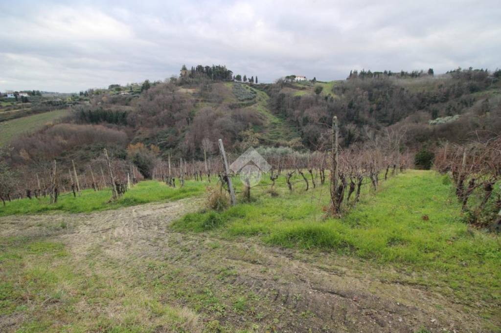 terreno agricolo in vendita a Cesena in zona Carpineta