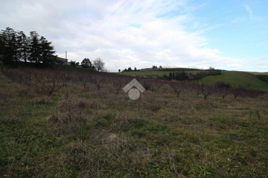 terreno agricolo in vendita a Cesena in zona Carpineta