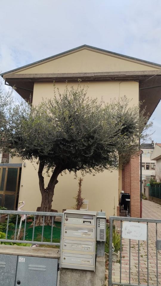 appartamento in vendita a Cesena in zona Sant'Egidio