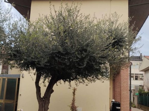 appartamento in vendita a Cesena in zona Sant'Egidio