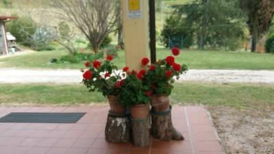 casa indipendente in vendita a Cesena in zona Rio Eremo