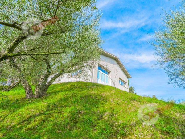 immagine annuncio 0 di 15