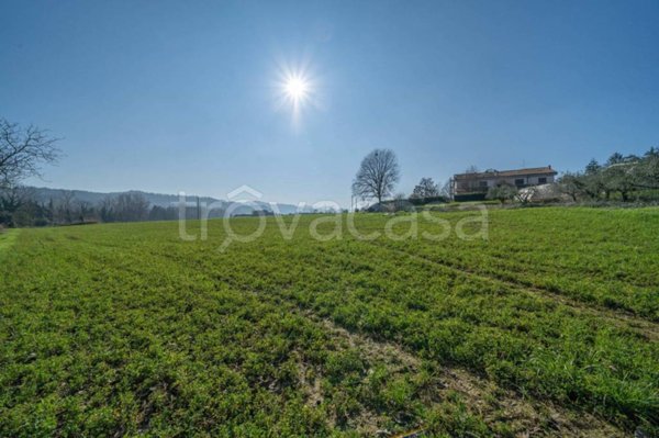 ufficio in vendita a Cesena in zona San Vittore