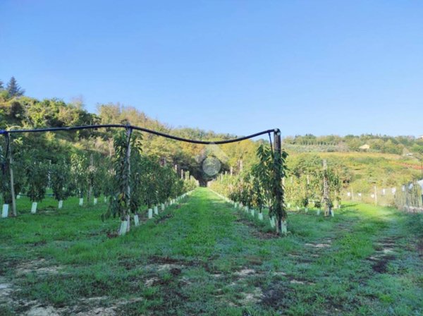 casa indipendente in vendita a Cesena in zona Carpineta