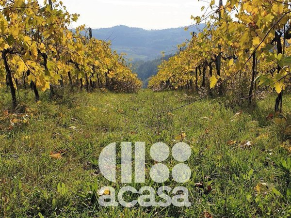 terreno agricolo in vendita a Cesena in zona Carpineta