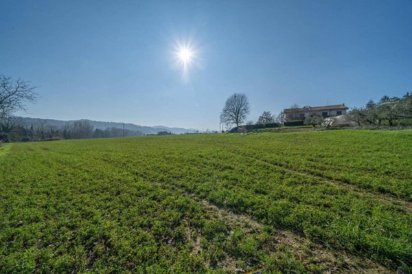 ufficio in vendita a Cesena in zona Borgo Paglia