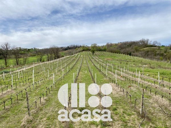 terreno agricolo in vendita a Cesena in zona Borello