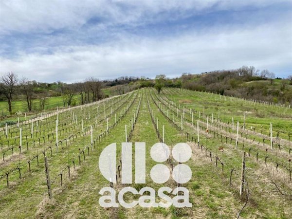 terreno agricolo in vendita a Cesena in zona Borello