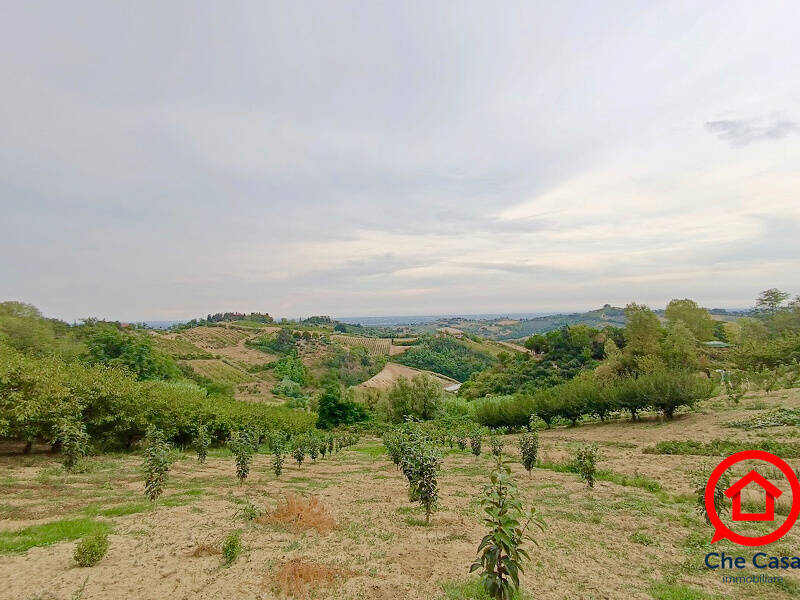 terreno agricolo in vendita a Cesena in zona Saiano