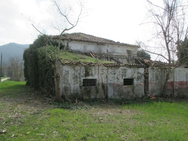 pentavano in vendita a Cesena in zona Borello