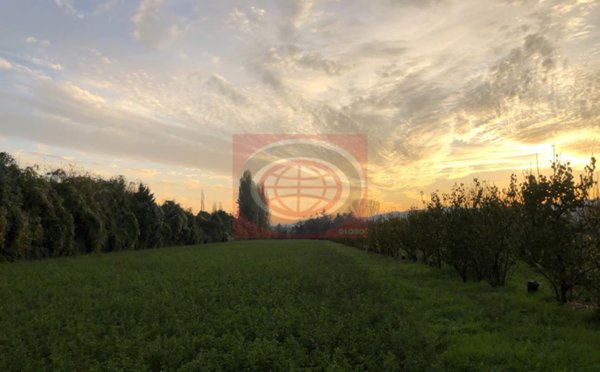 casa indipendente in vendita a Cesena in zona San Vittore