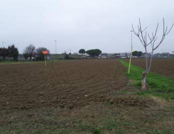 ufficio in vendita a Cesena