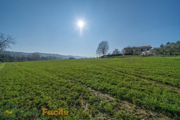 ufficio in vendita a Cesena in zona Vigne