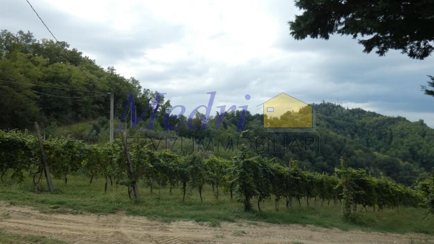 casa indipendente in affitto a Cesena in zona San Carlo