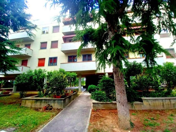 appartamento in vendita a Cesena in zona Sant'Egidio