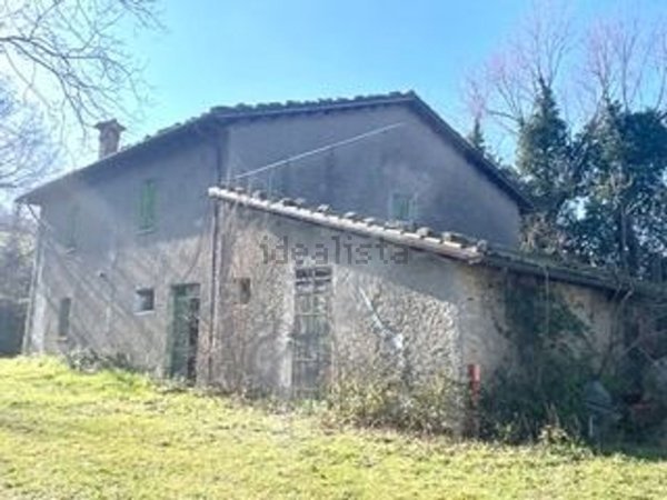 esavano in vendita a Cesena
