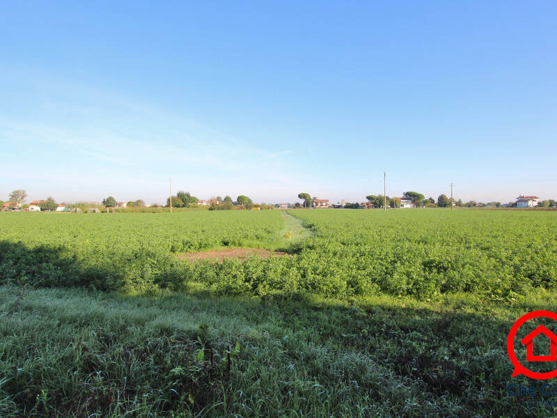 terreno agricolo in vendita a Cesena in zona Calabrina