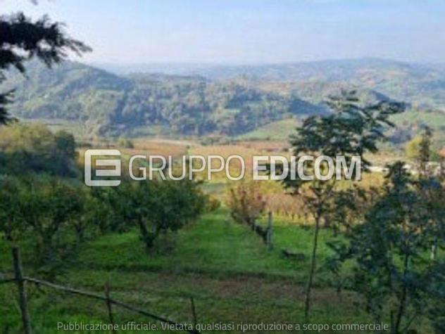 terreno agricolo in vendita a Cesena in zona Montereale