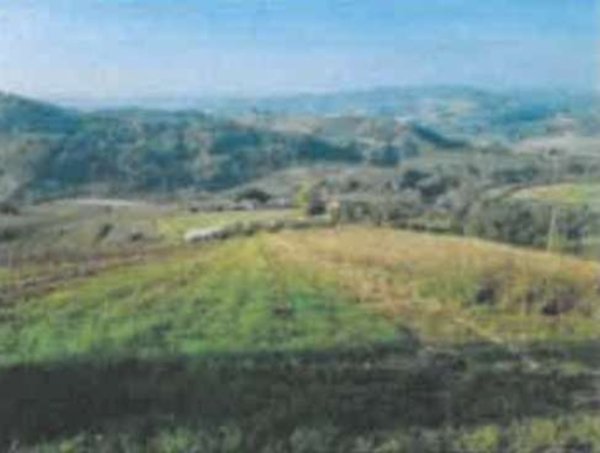 terreno agricolo in vendita a Cesena in zona Vigne