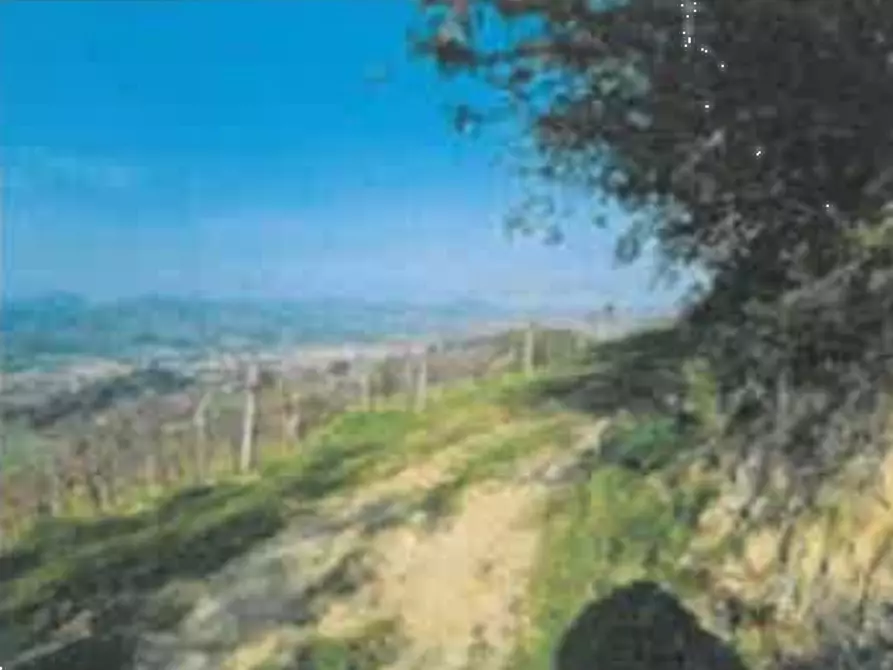 terreno agricolo in vendita a Cesena