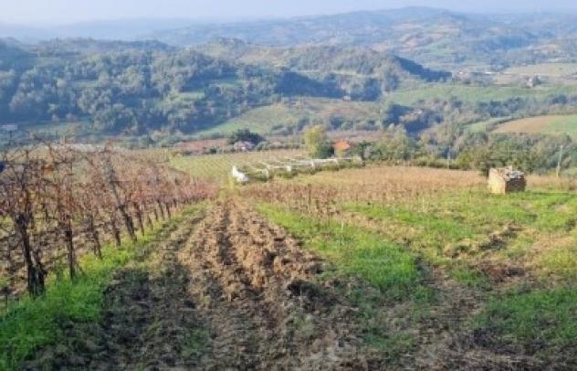 terreno agricolo in vendita a Cesena