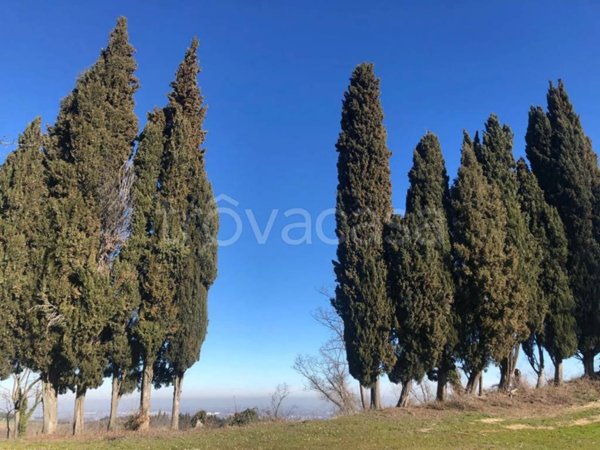 casa indipendente in vendita a Cesena in zona Tessello