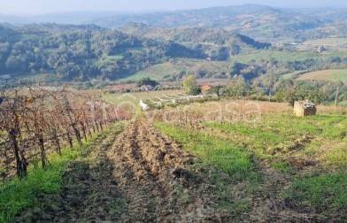 appartamento in vendita a Cesena in zona Montereale
