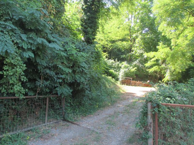 terreno agricolo in vendita a Cesena in zona Borello