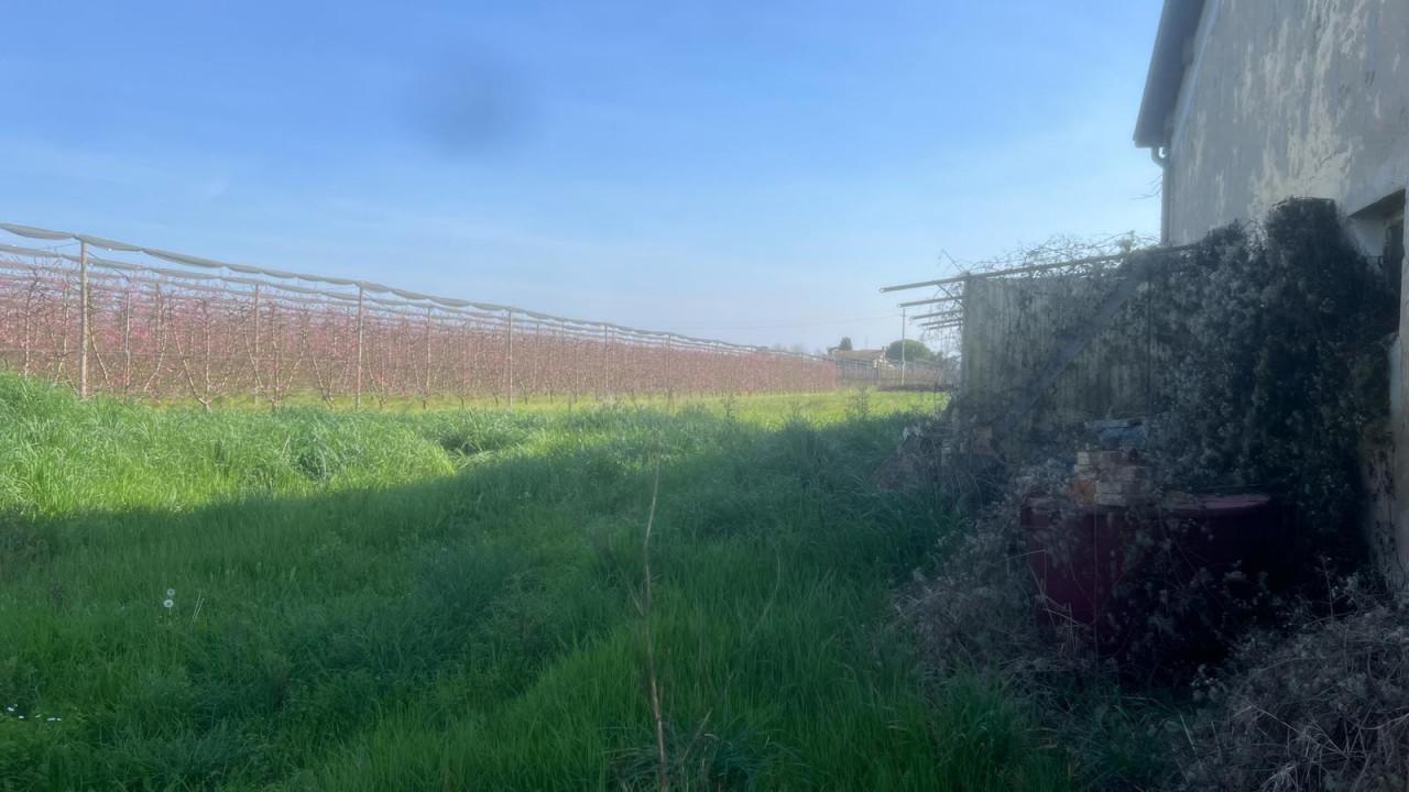 casa indipendente in vendita a Cesena in zona Ponte Pietra