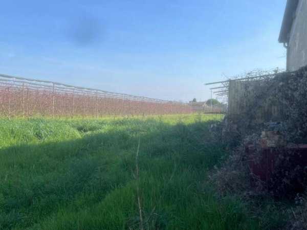 casa indipendente in vendita a Cesena in zona Ponte Pietra