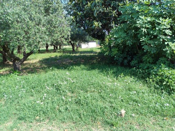 casa indipendente in vendita a Cesena in zona Sant'Andrea in Bagnolo