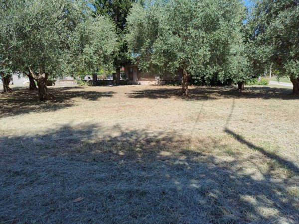 casa indipendente in vendita a Cesena in zona Sant'Andrea in Bagnolo