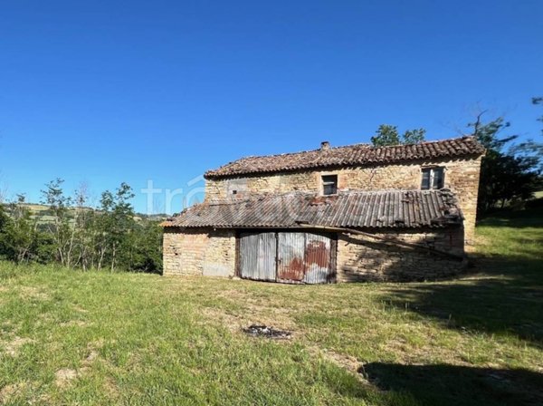 azienda agricola in vendita a Cesena in zona Luzzena