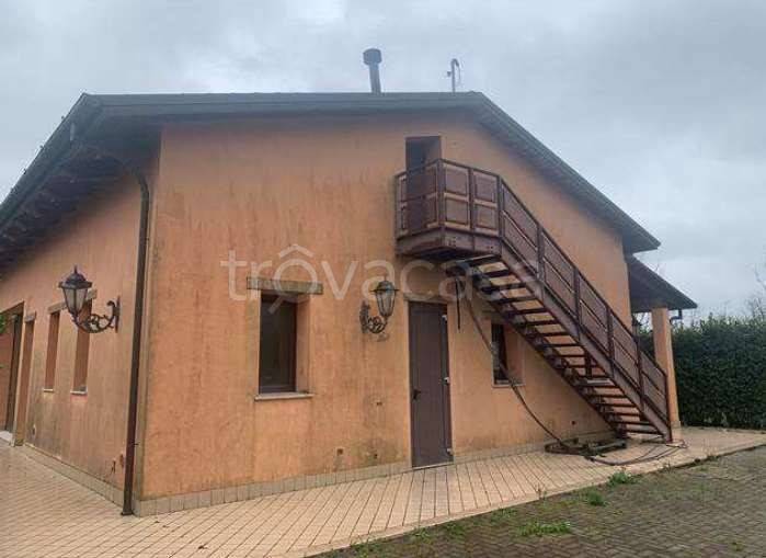 terreno agricolo in vendita a Cesena in zona San Giorgio